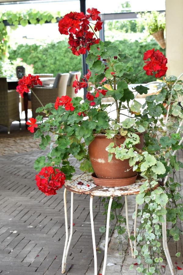 De Oude Limonadefabriek Bed & Breakfast Beek  Exterior foto